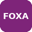 FOXA logo