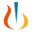 NVS logo
